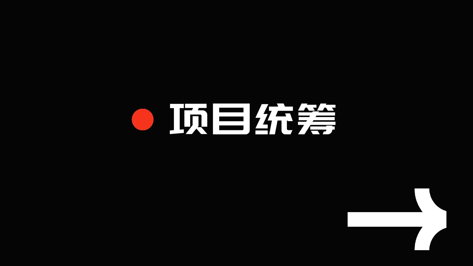 项目统筹